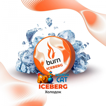 Заказать кальянный табак Burn Iceberg (Холодок) 25г онлайн с доставкой всей России - фото 1 Заказать кальянный табак Burn Iceberg (Холодок) 25г онлайн с доставкой всей России - фото 1
